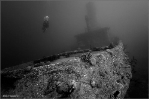 Caribbean Sea. Cuba. Alta Vista wreck. 30 meters deep. by Dmitry Vinogradov 